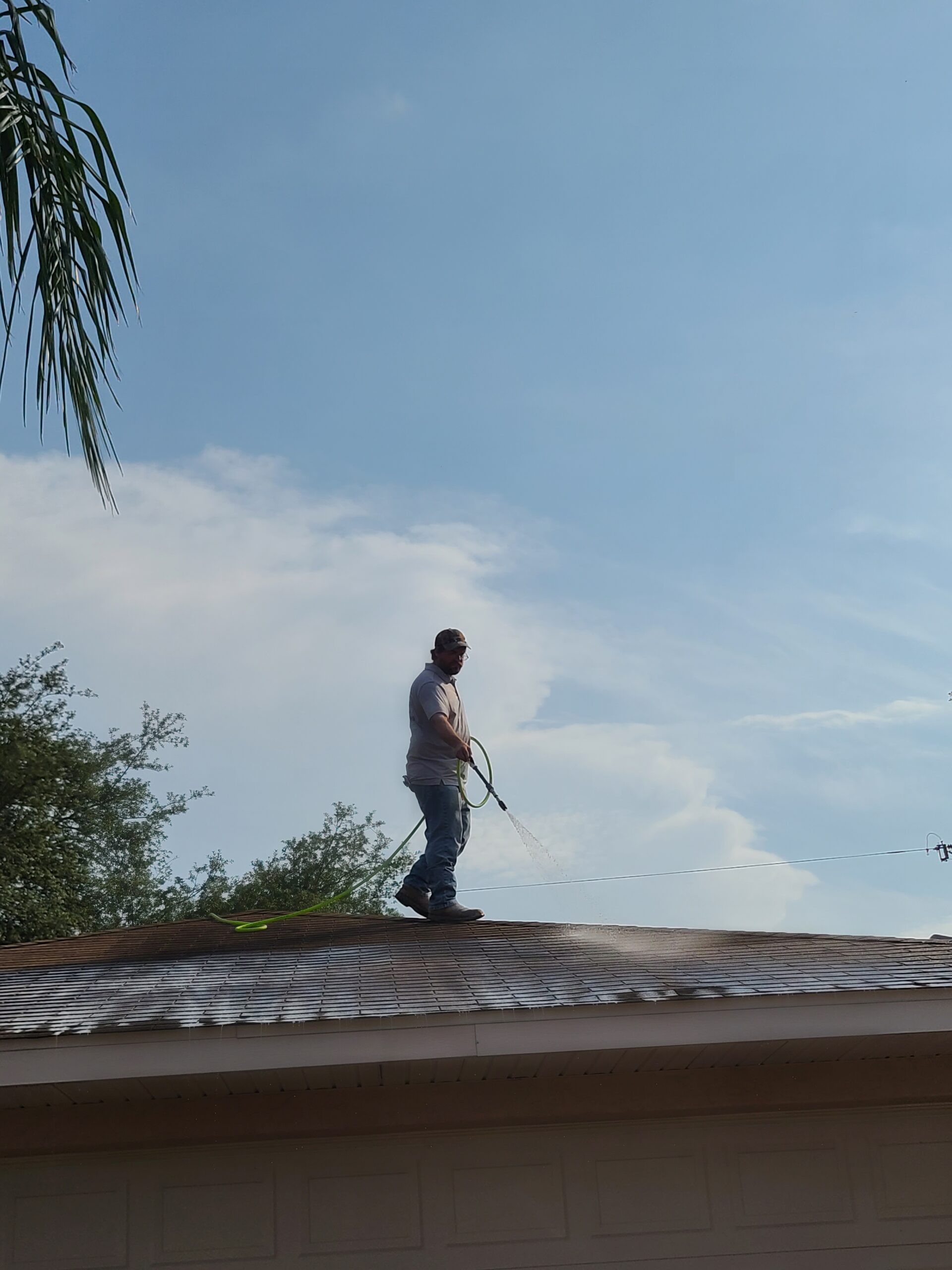 Restore Your Roof’s Beauty and Longevity