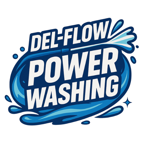 Del Flow Power Washing LOGO