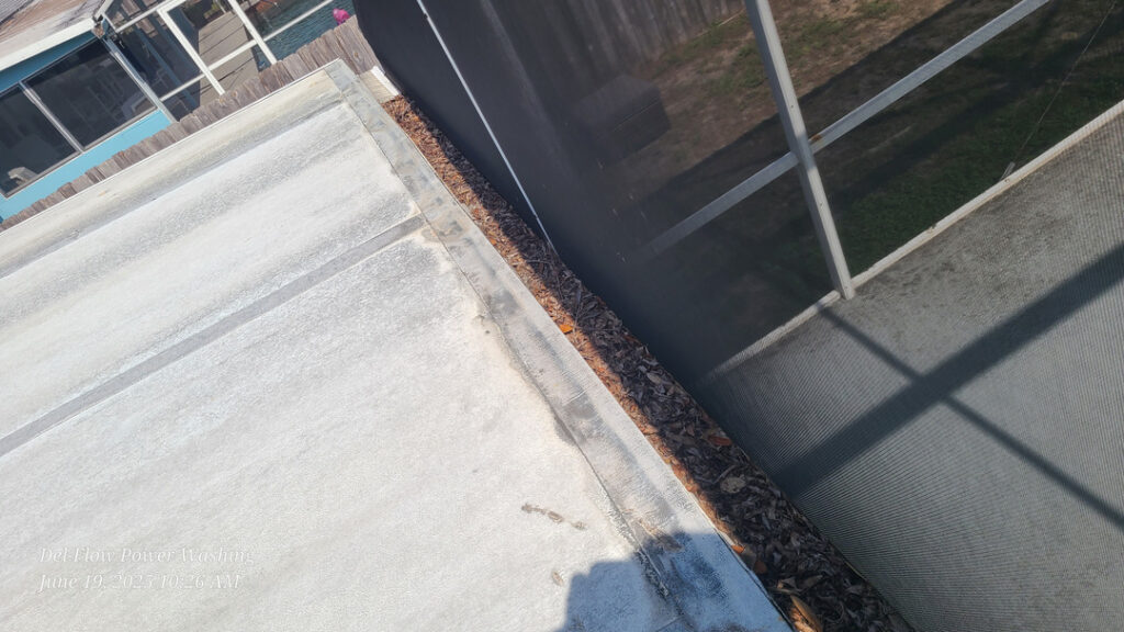 concrete cleaning along a roof edge showing dirt and debris buildup near a screened area with surrounding landscaping