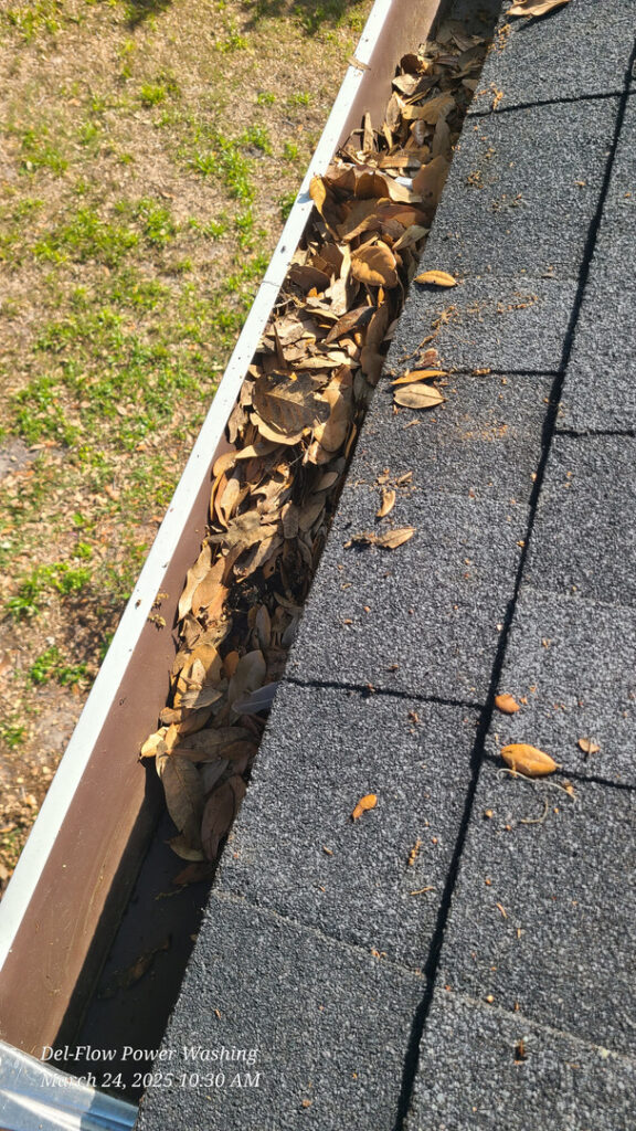 gutter cleaning with leaves and debris accumulated along the edge of a roof black shingles visible in the photo