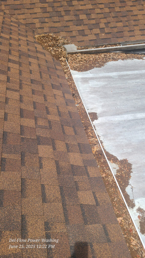 roof maintenance showing leaves debris accumulation near gutter and roof shingles needing cleaning
