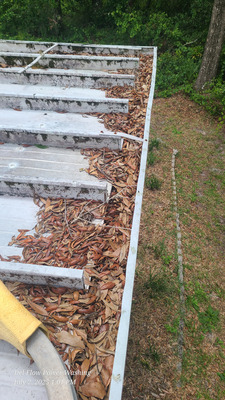 Gutter Cleaning And Low-Pressure Soft Washing Project in DeLand FL 32724
