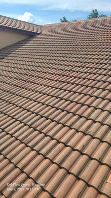 Roof Cleaning Project in Eustis FL 32726