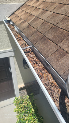 Gutter Cleaning And Inspection Services Project in Winter Springs FL 32708
