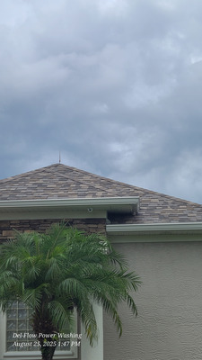 Softwash Roof Cleaning And Algae Removal Project in DeBary FL 32713