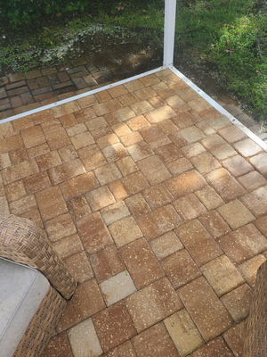 Pool Deck Softwashing Service Project in Port Orange FL 32128