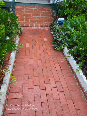 Exterior Surface Cleaning And Weed Treatment in Oviedo FL