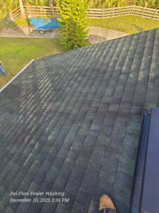 Roof Cleaning And Algae Removal Services in Sanford FL
