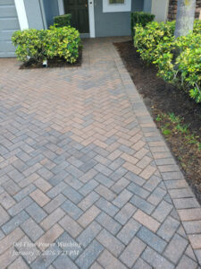 Paver Driveway Cleaning And Algaecide Treatment in Sanford FL