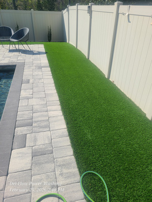 Astro Turf Cleaning And Odor Treatment Services in Longwood FL