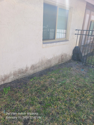 Exterior Low Pressure Chemical Cleaning in Casselberry FL