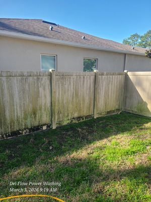 Fence Cleaning And Mold Removal Service Project in DeLand FL 32724
