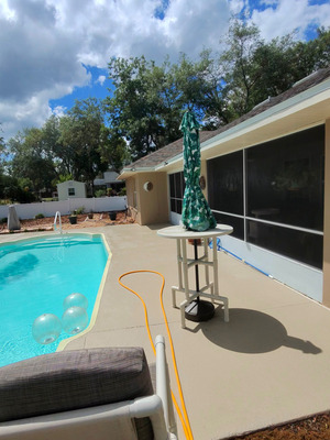 Fence Cleaning And Algae Removal Service Project in Deltona FL 32738
