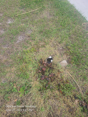 Jetting Underground Gutters For Debris Removal Project in Deltona FL 32738