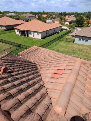 Roof Cleaning And Algae Removal in DeBary FL