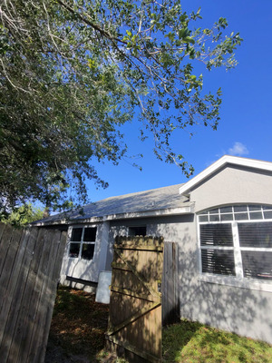 Softwash House Cleaning For Mildew And Bug Removal Project in Lake Helen FL 32744