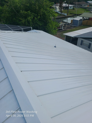 Roof Cleaning And Gutter Debris Removal Project in Edgewater FL 32141