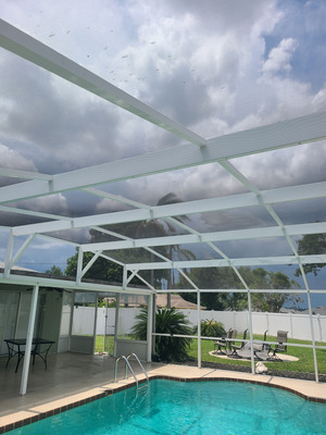 Aluminum Pool Enclosure Frame And Deck Cleaning Project in Deltona FL 32738