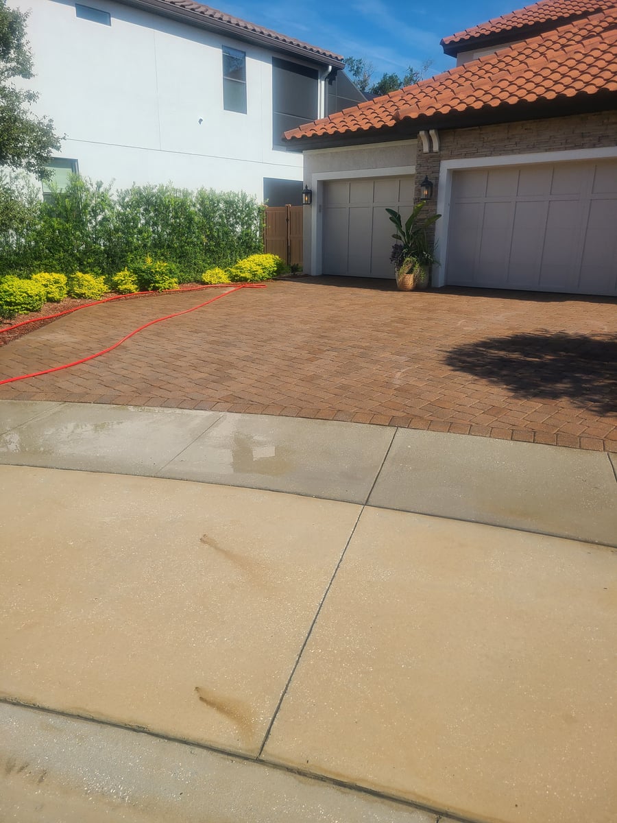 Driveway and pedestrian walkway surface cleaning and detailing