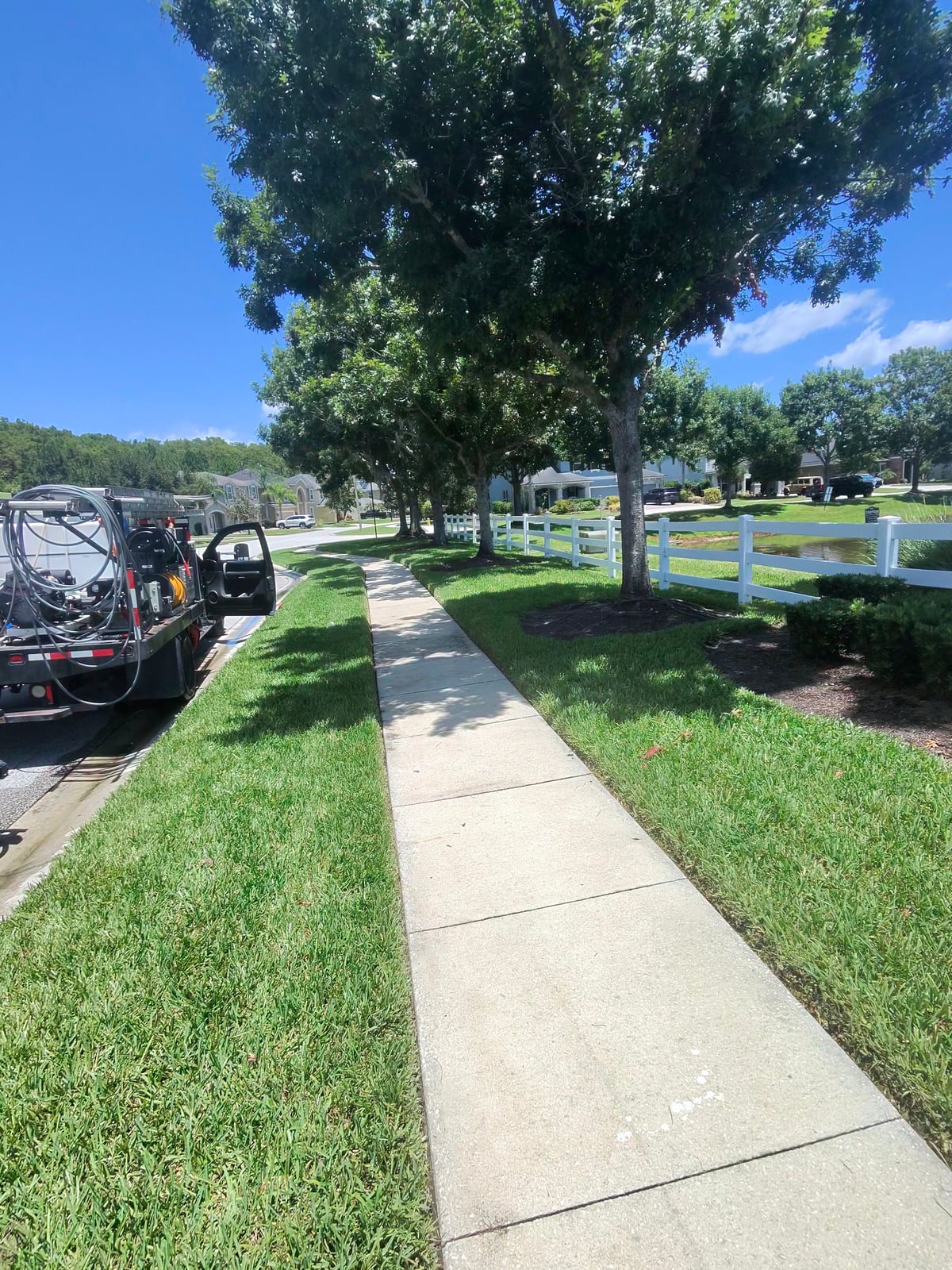 Driveway and pedestrian walkway surface cleaning and detailing