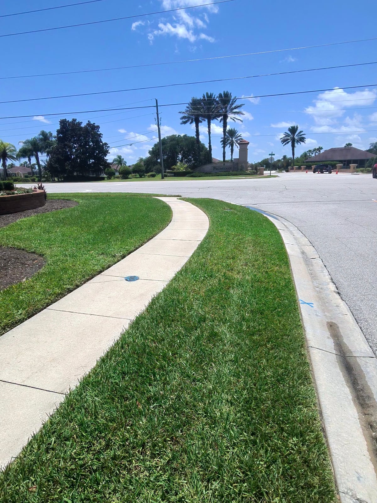 Driveway and pedestrian walkway surface cleaning and detailing