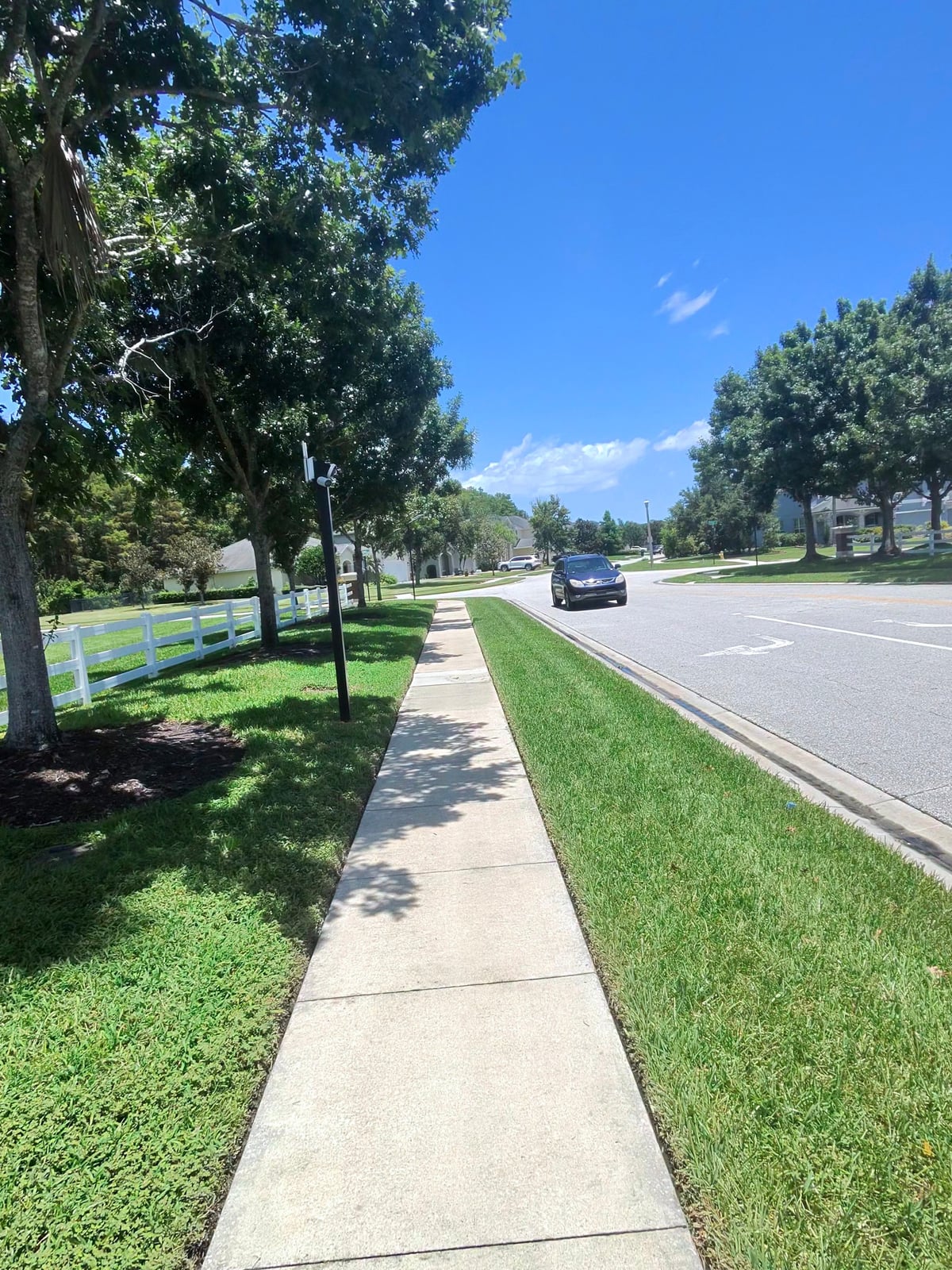 Driveway and pedestrian walkway surface cleaning and detailing