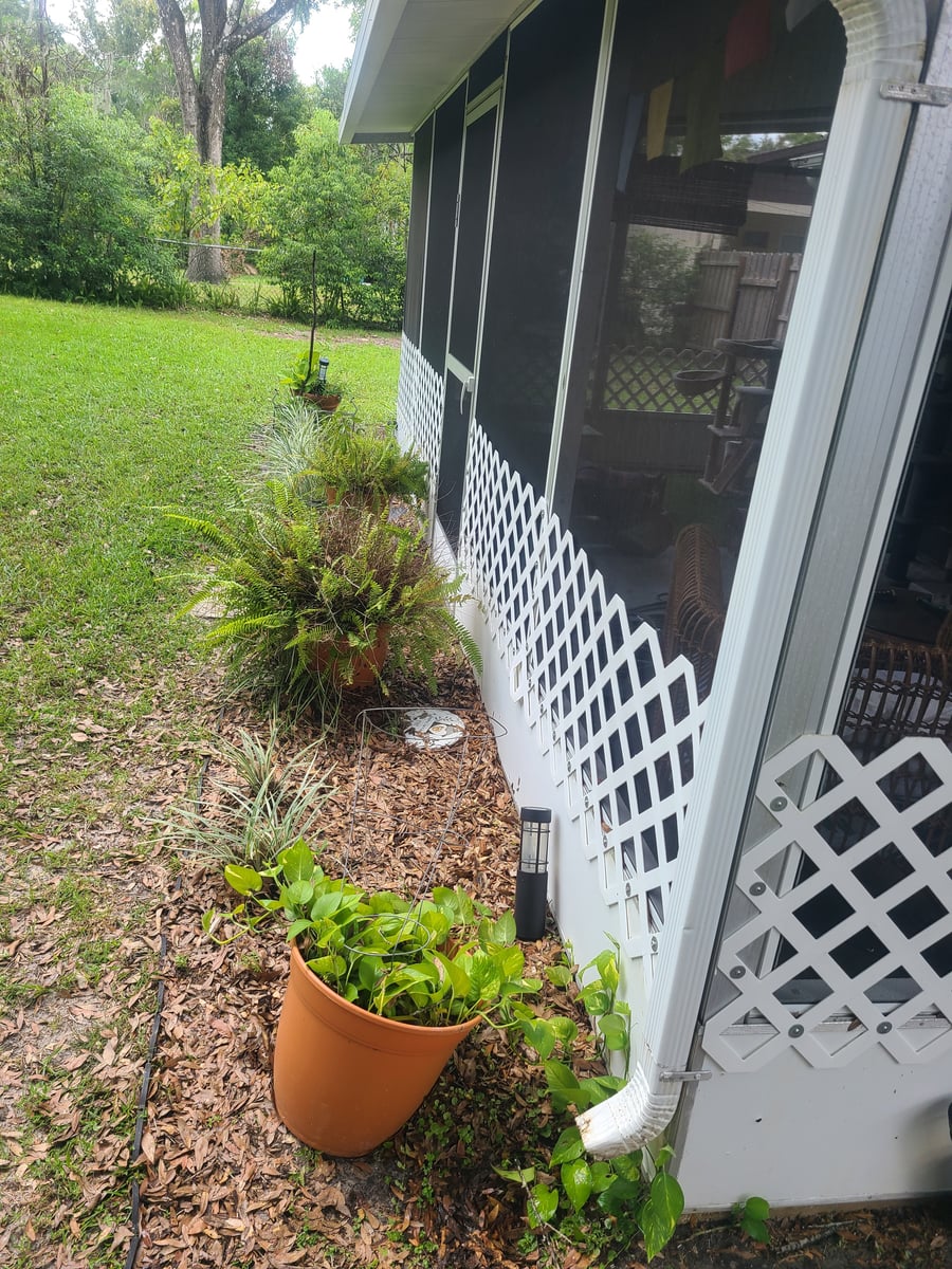 Exterior house washing and gutter cleaning with debris removal