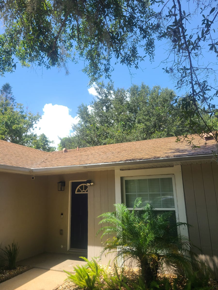 Roof soft washing and full exterior surface cleaning
