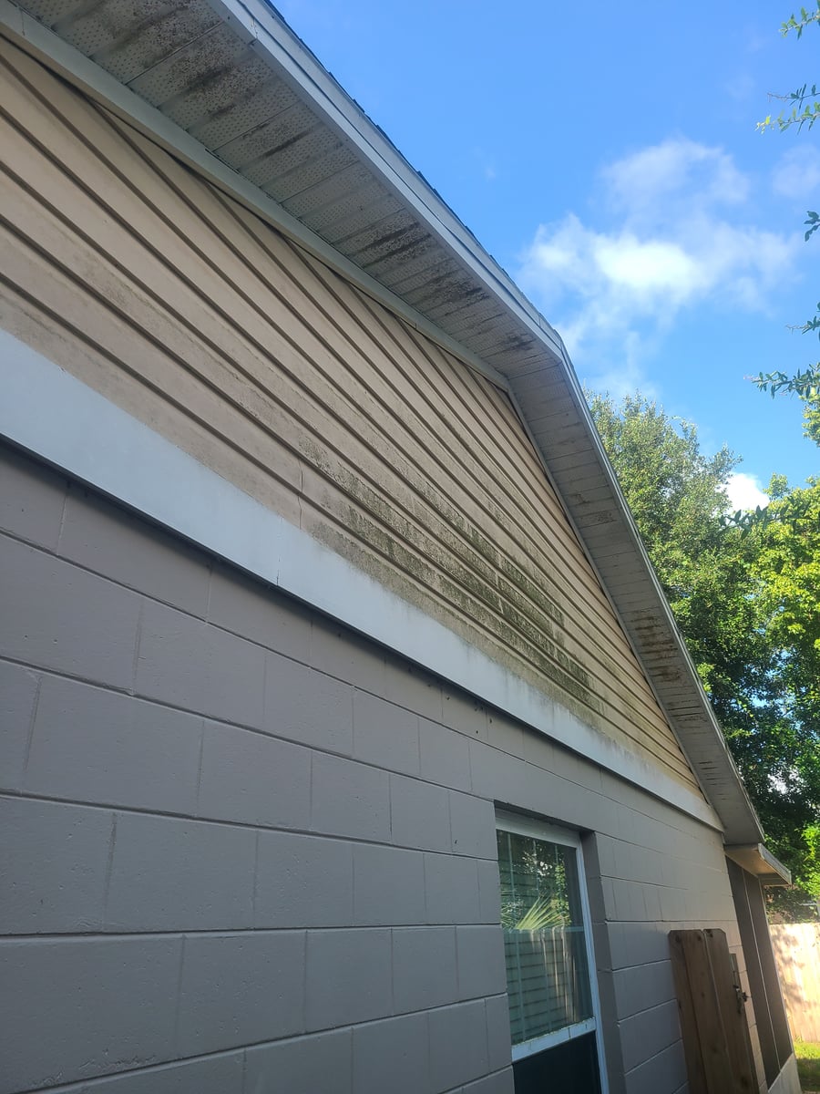 Roof soft washing and full exterior surface cleaning