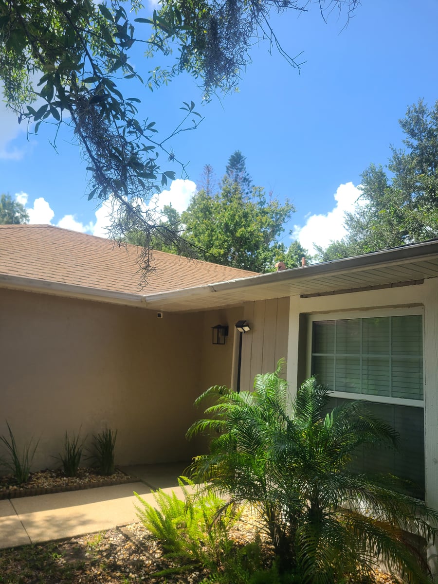 Roof soft washing and full exterior surface cleaning