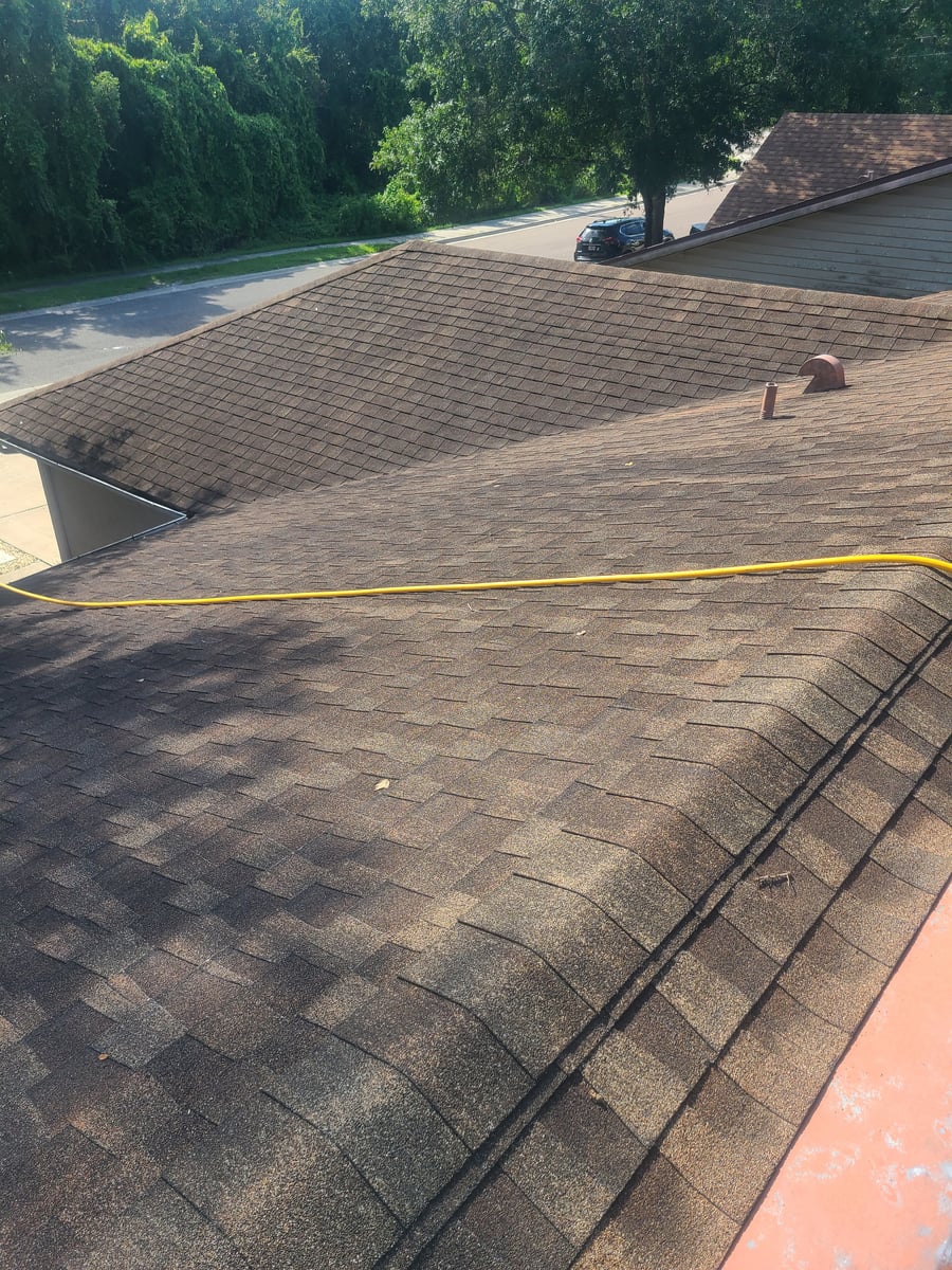 Roof soft washing and full exterior surface cleaning