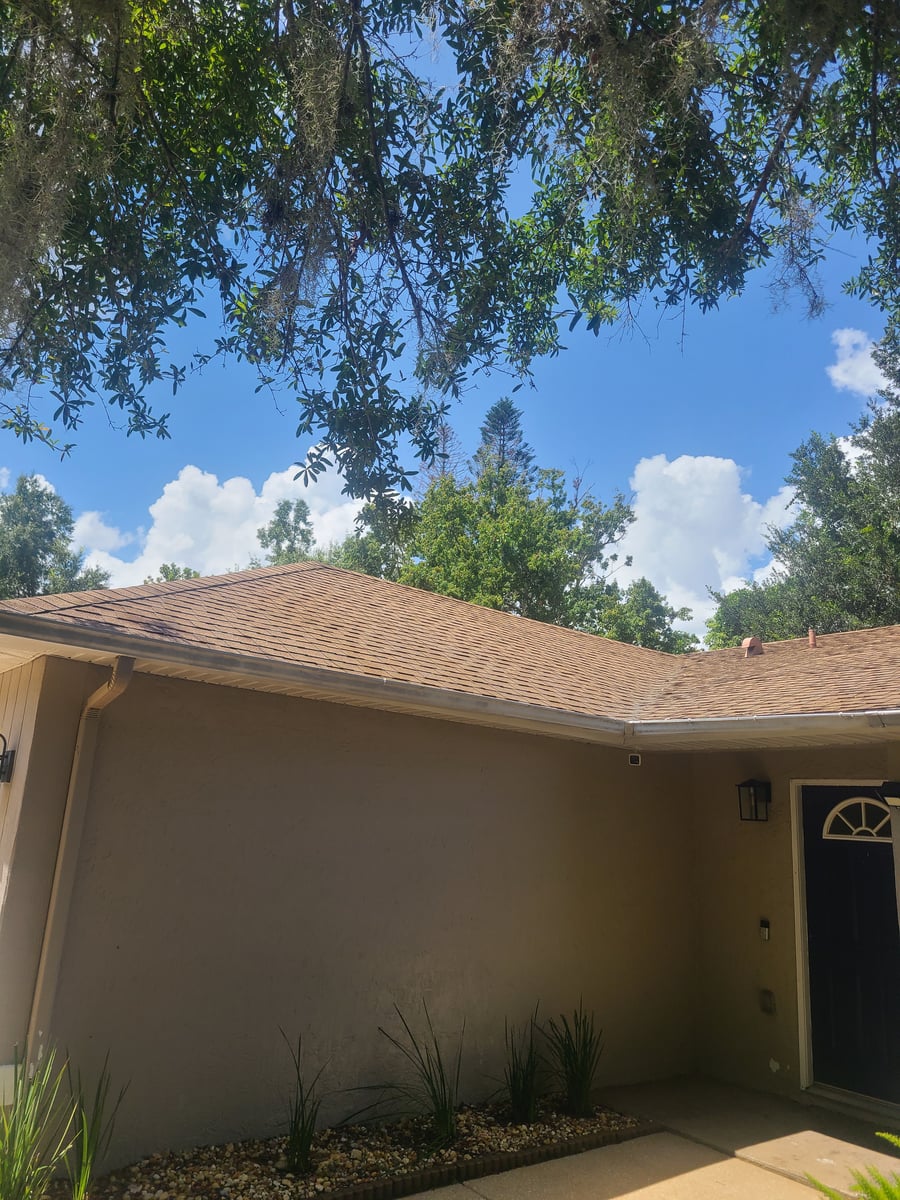 Roof soft washing and full exterior surface cleaning