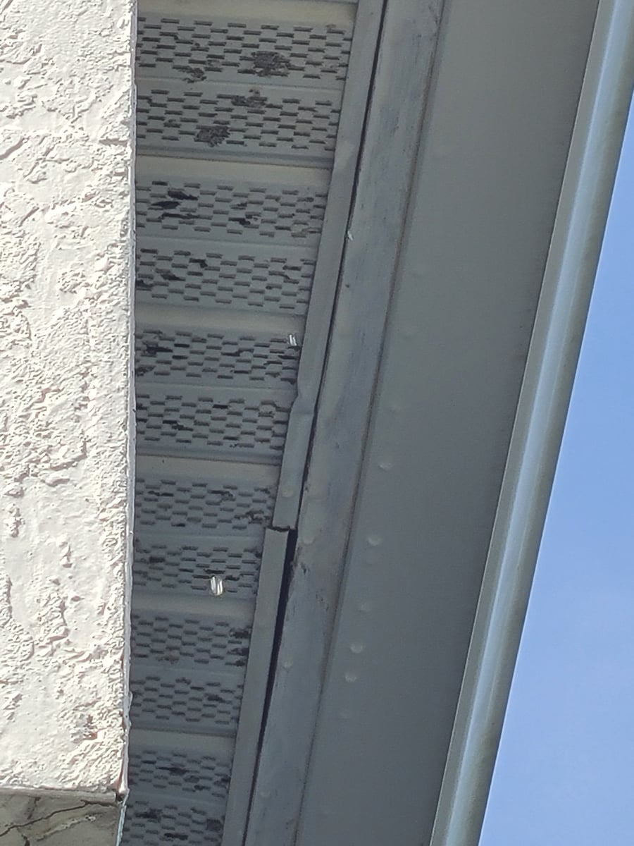 Exterior siding soft washing and surface cleaning for painting