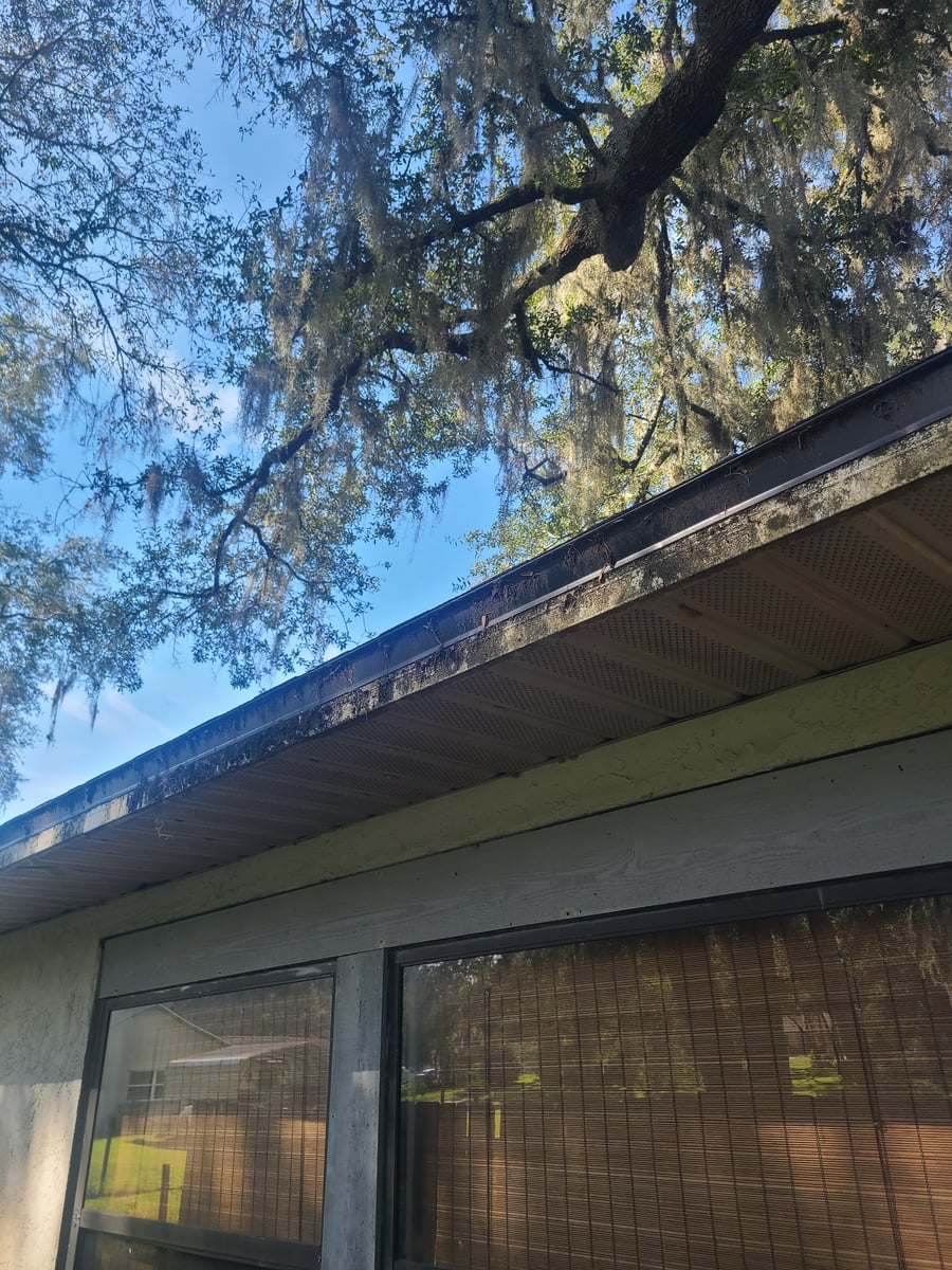 Driveway patio pressure washing and exterior house soft washing