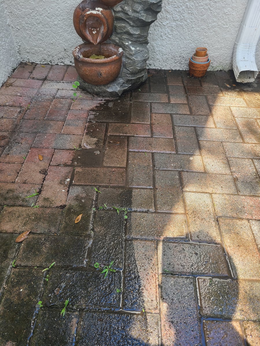 Driveway and walkway pressure washing and concrete surface cleaning