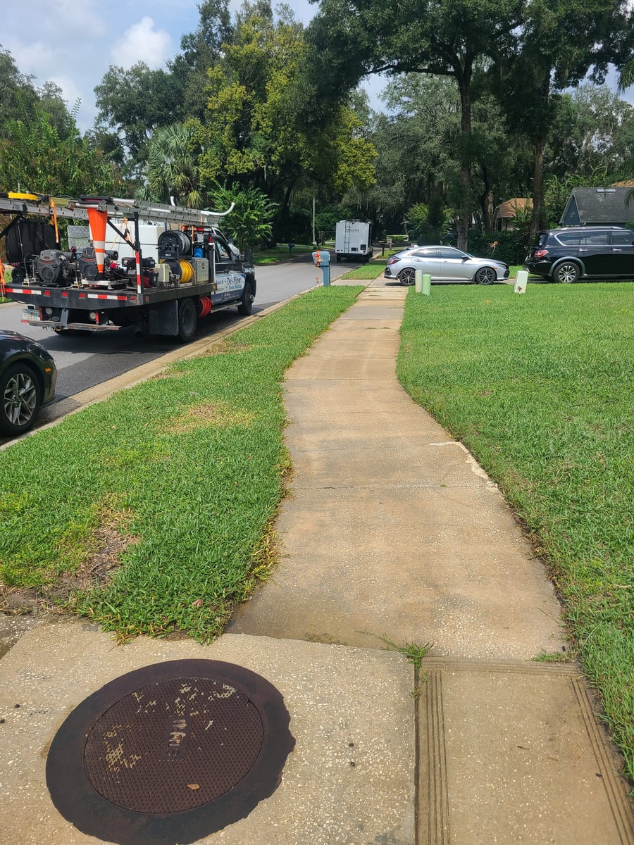 Driveway and sidewalk pressure washing removing mold and grime