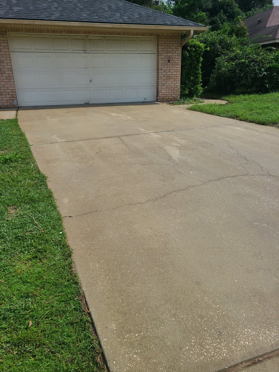 Driveway and sidewalk pressure washing removing mold and grime