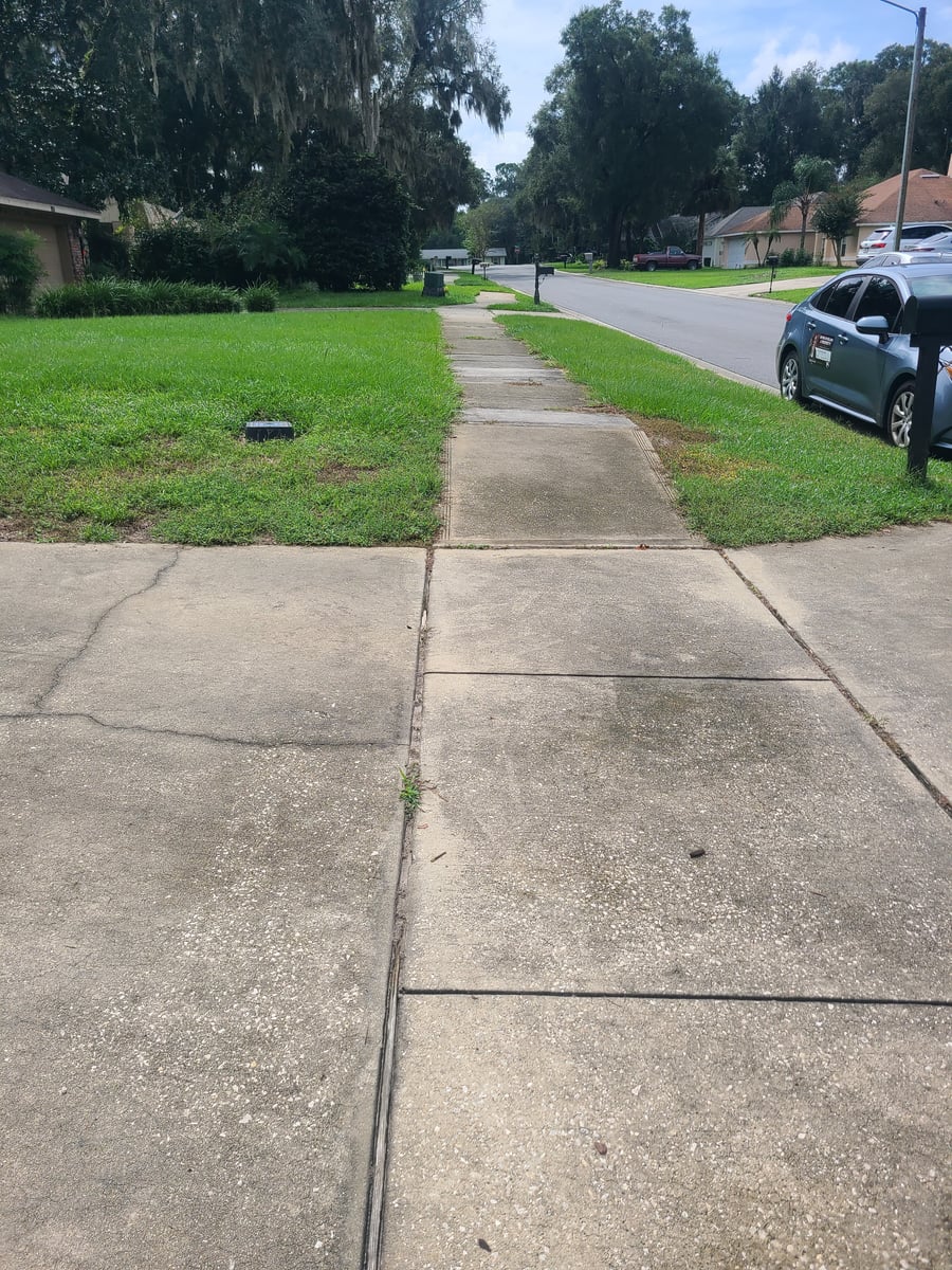 Driveway and sidewalk pressure washing removing mold and grime