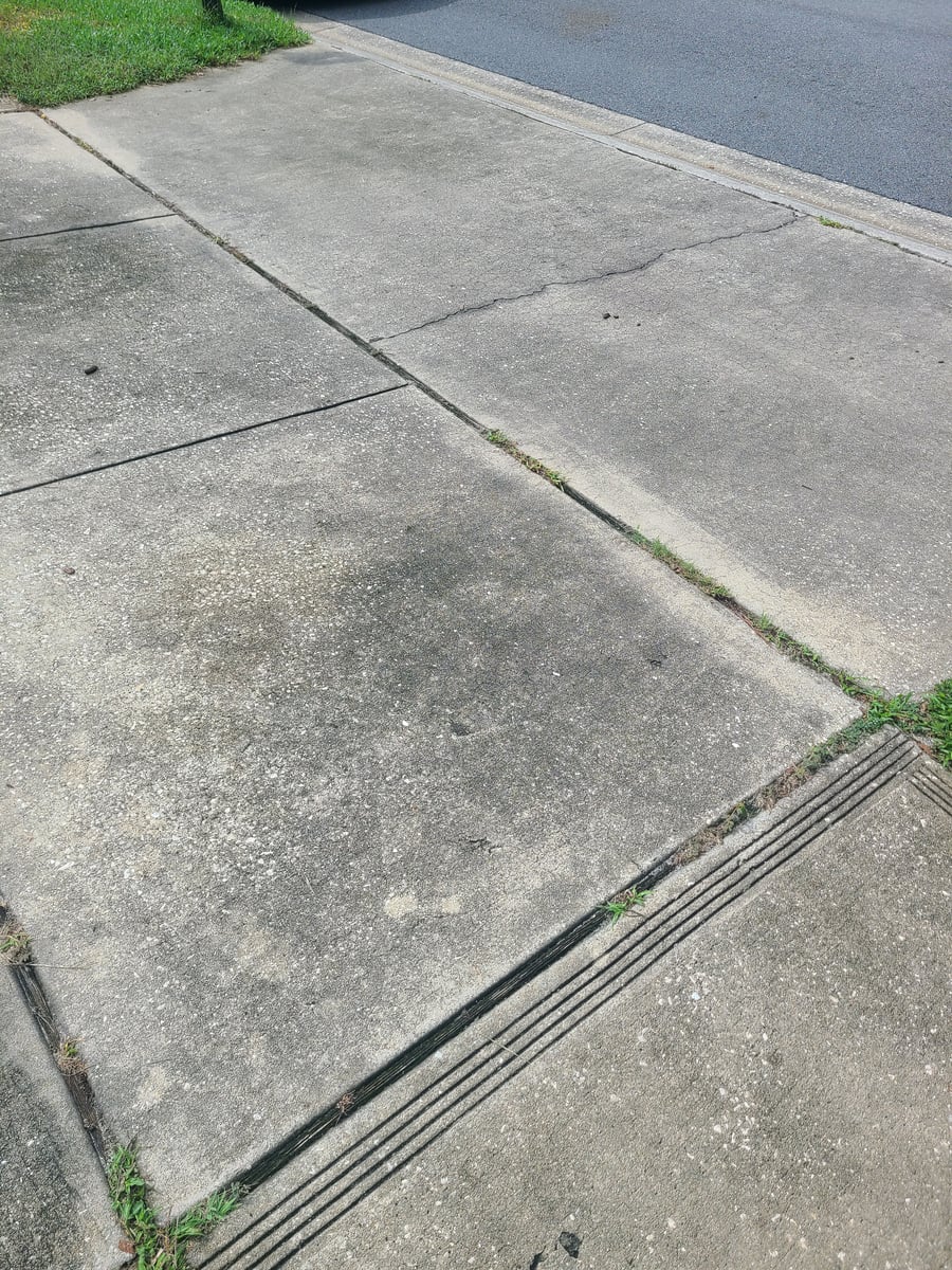 Driveway and sidewalk pressure washing removing mold and grime