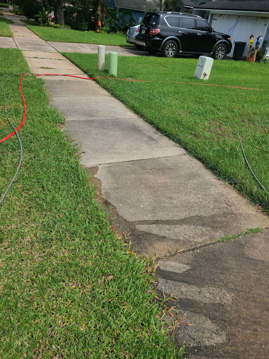 Driveway and sidewalk pressure washing removing mold and grime
