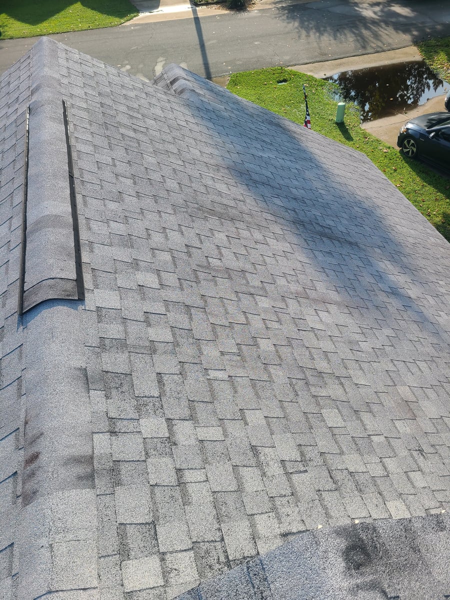 Soft wash roof cleaning and algae moss stain removal