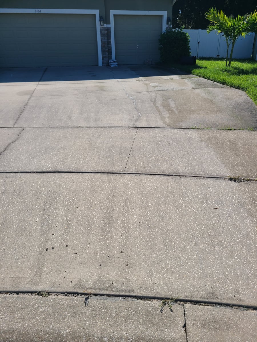 Driveway and sidewalk pressure washing and mold mildew removal